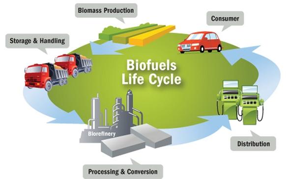 Biofuel Benefits, Biofuel vs Petroleum Fuel, Role in ...
