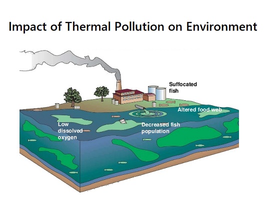 effects of thermal pollution