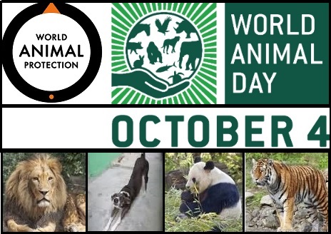 World Animal Day 4th October Details, Aim, Celebrations, History