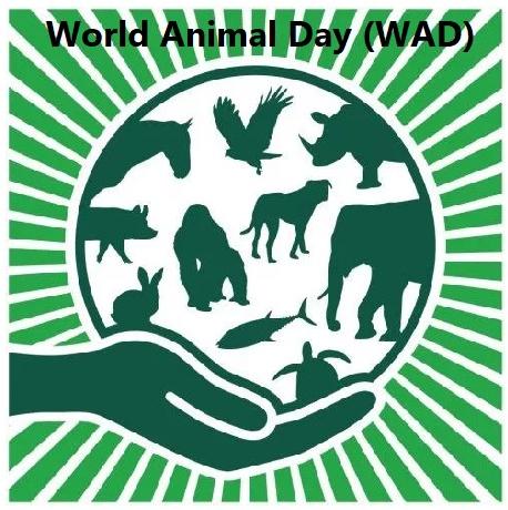 World Animal Day 4th October History, Features, Theme