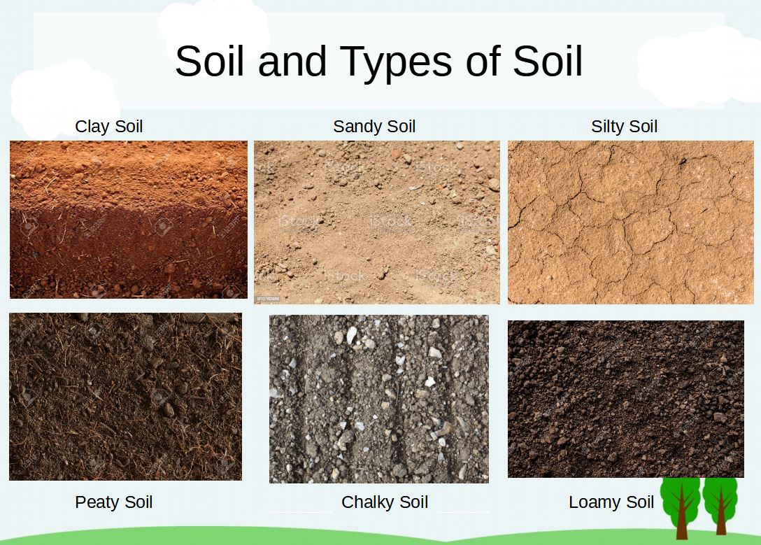 Soil, Types of soil: About, Composition, Details, Types of Soil